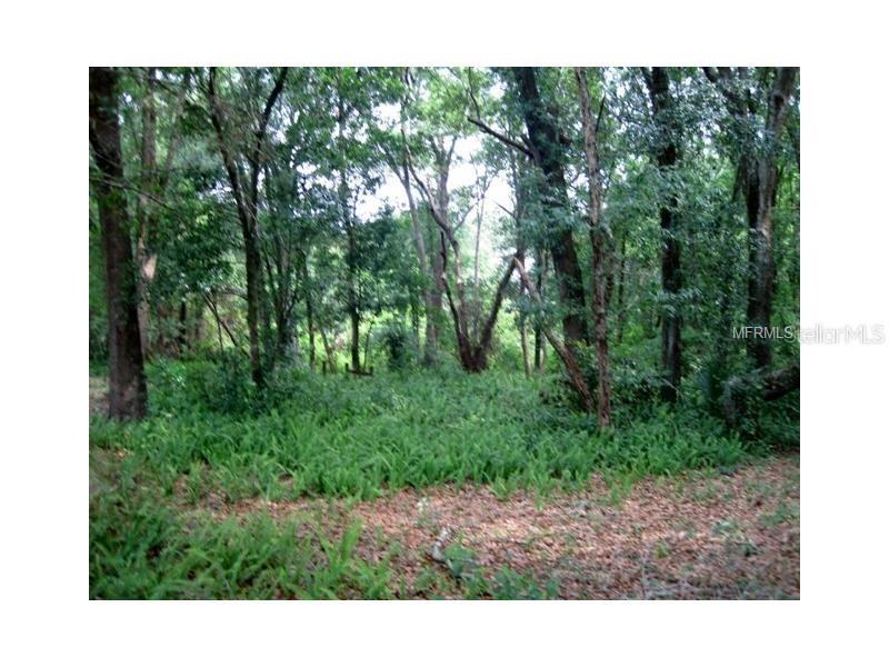 Vacant, Mount Dora, FL 32757