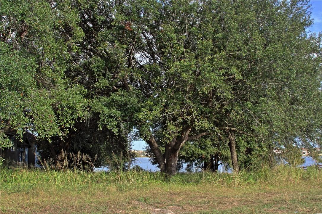 7827 Skiing Way, Winter Garden, FL 34787