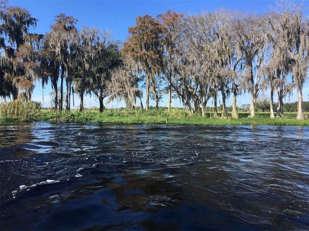 5084 Lakeshore Ranch Rd., Groveland, FL 34736