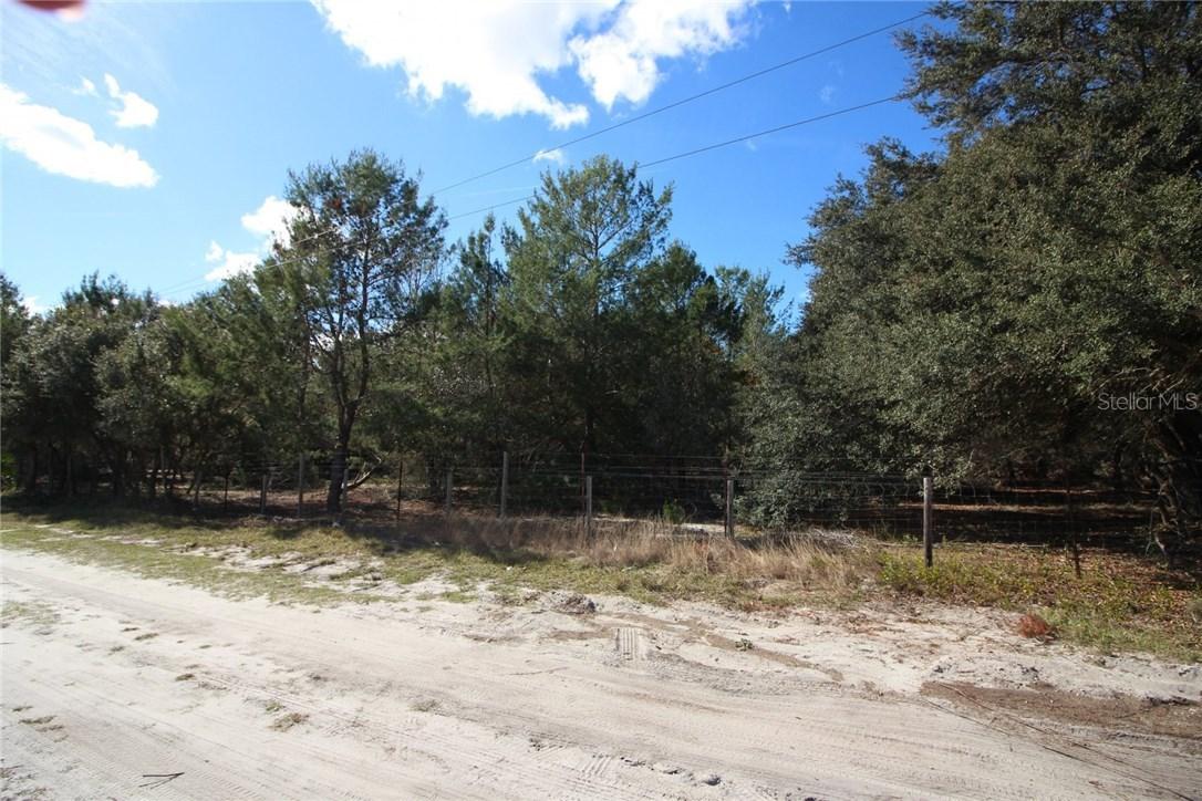 Cattle Drive Trail, Geneva, FL 32732