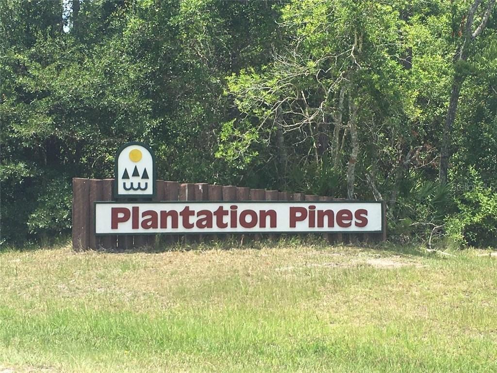 411 Needles Dr., Ormond Beach, FL 32174