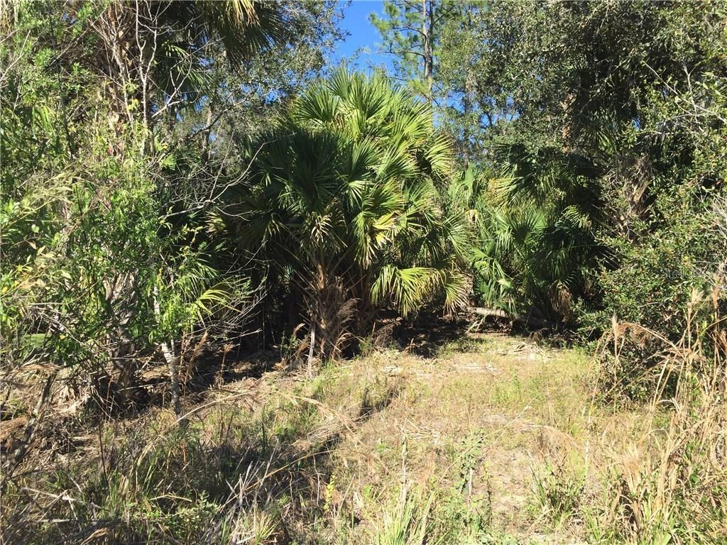 1570 Blue Fish Pl., Geneva, FL 32732