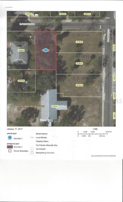 E Jackson Avenue, Mount Dora, FL 32757