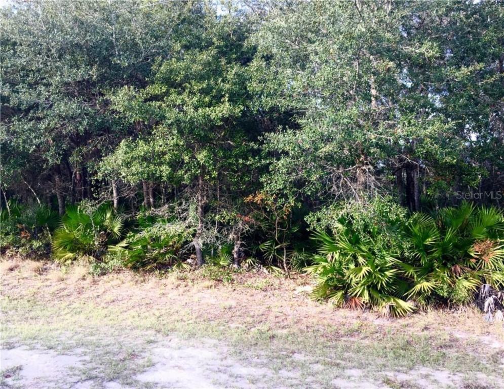 1401 Punta Gorda Ct., Poinciana, FL 34759