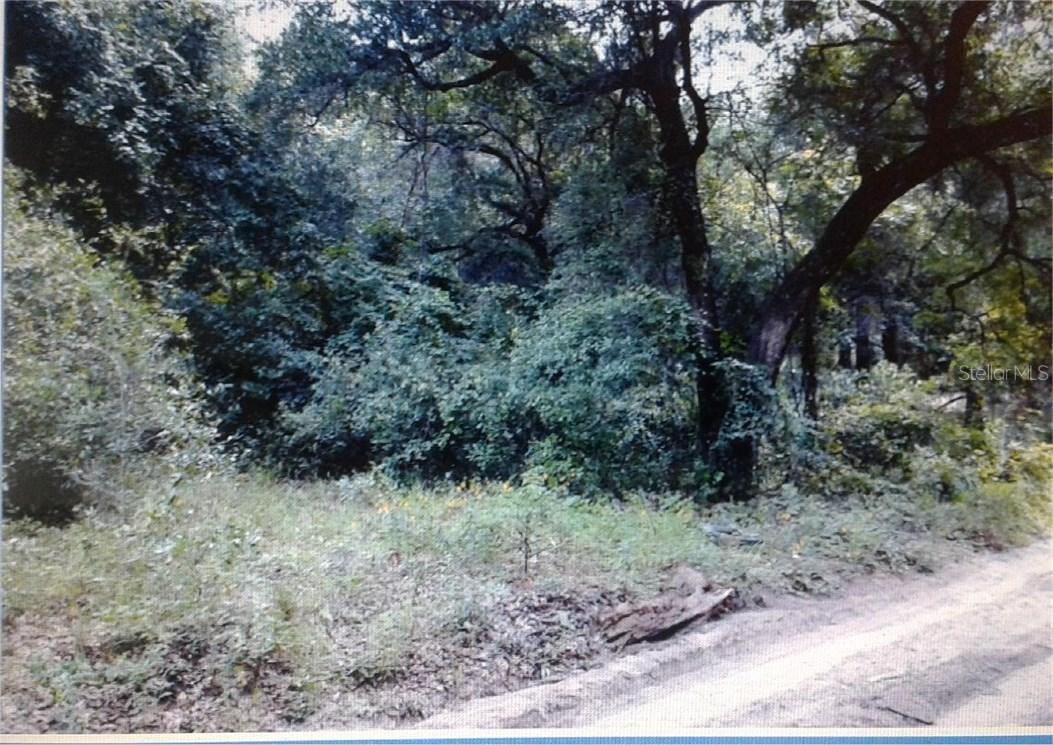 Hoy Lake St., Sorrento, FL 32776