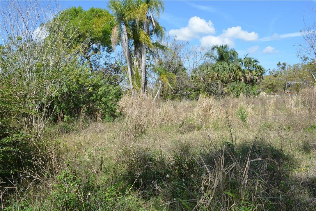 Chuluota Rd., Oviedo, FL 32765