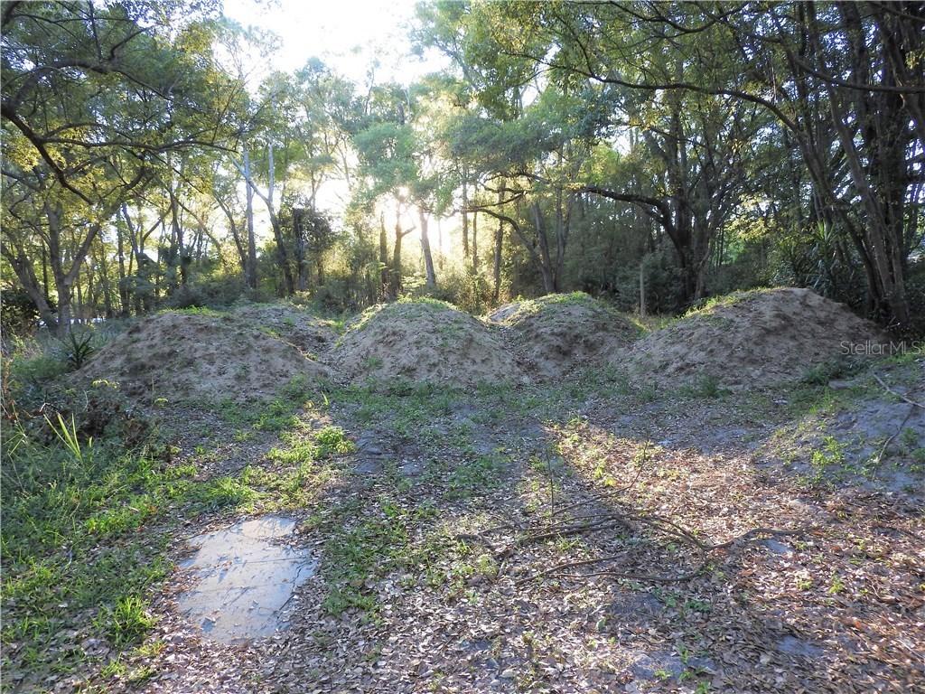 31835 Sybil Ave., Sorrento, FL 32776