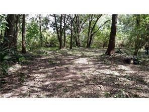 1136 Brick Rd., Winter Garden, FL 34787