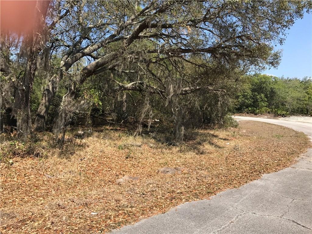 554 St Johns Ct., Poinciana, FL 34759