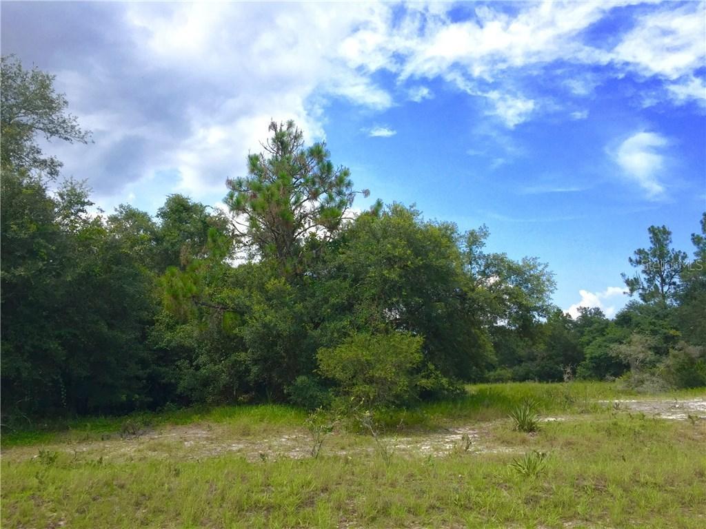 325 Bass Ct., Poinciana, FL 34759
