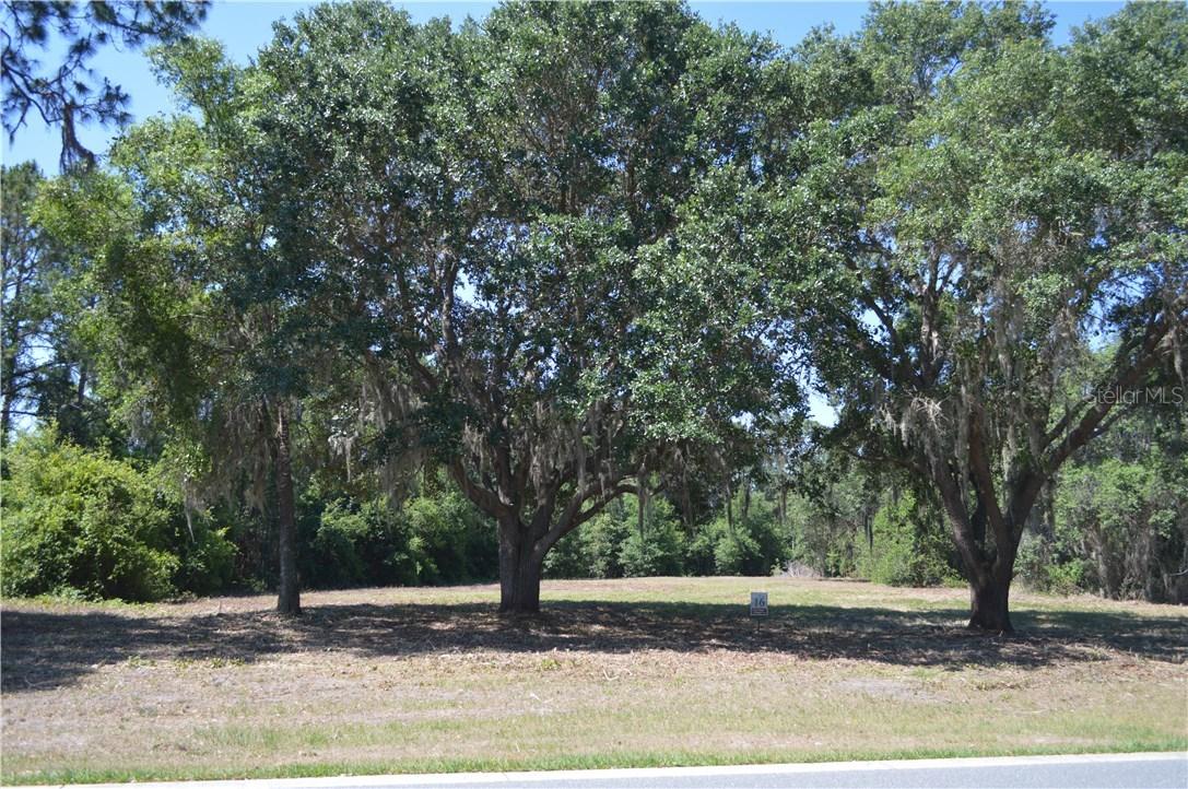 414 Long And Winding Rd., Groveland, FL 34737