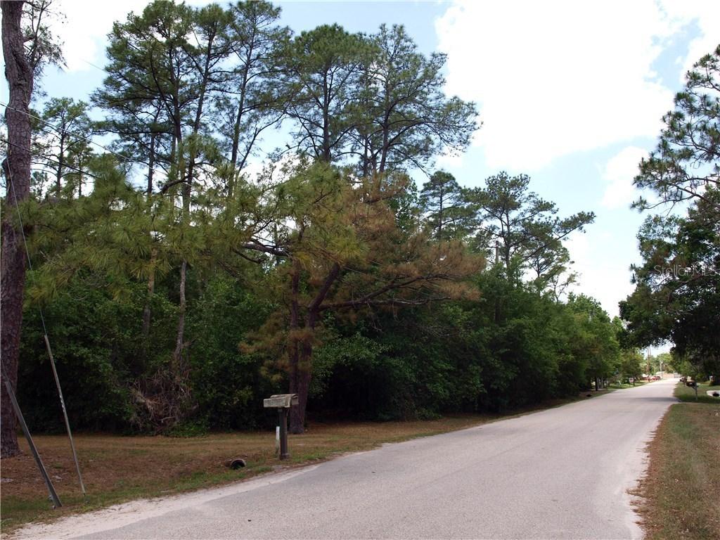 9124 Fryland Rd., Orlando, FL 32817