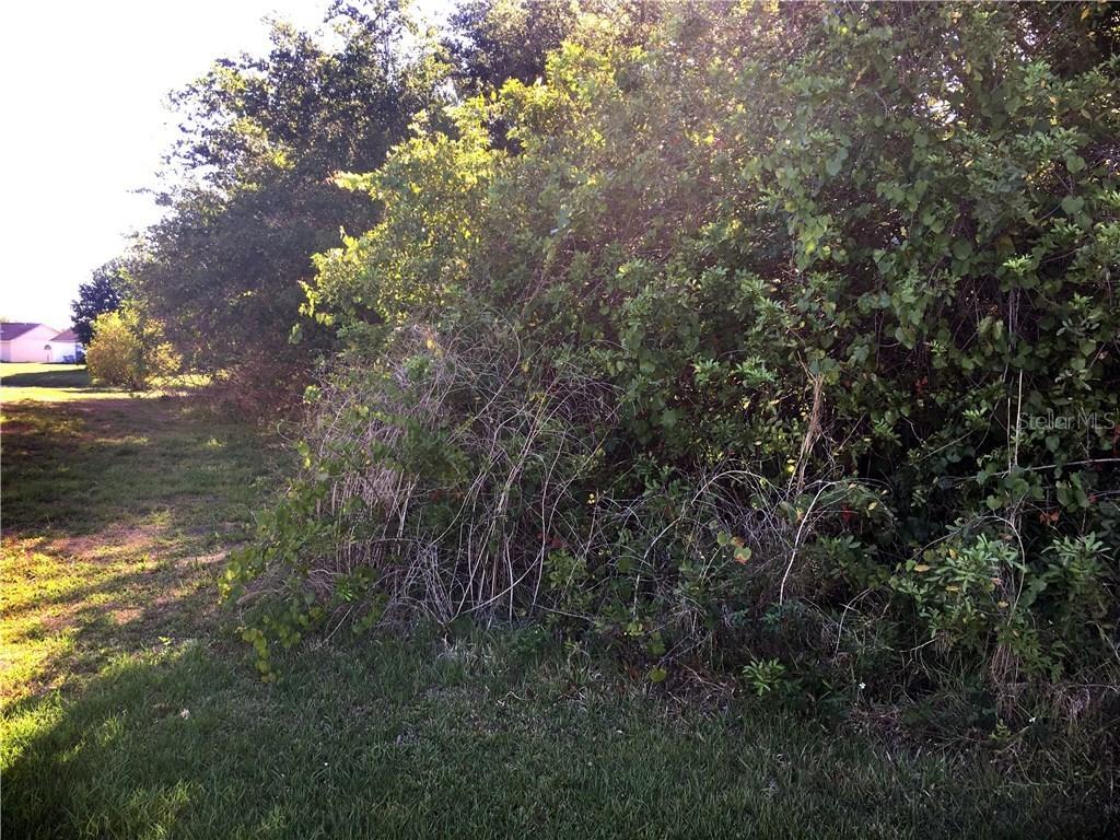 734 Toulon Dr., Kissimmee, FL 34759