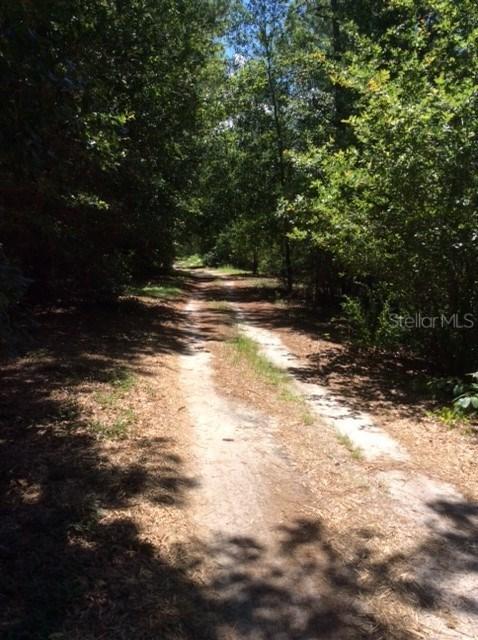 8550 Natures Hammock Tr., Kissimmee, FL 34747