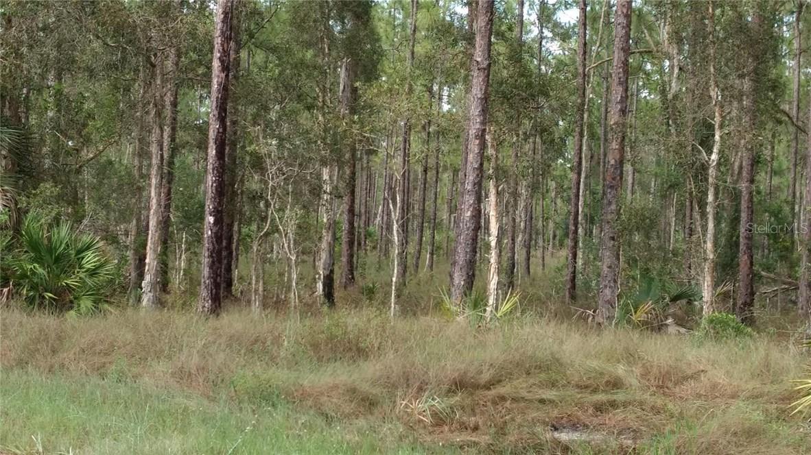 1310 Lake Ave., Lehigh Acres, FL 33972