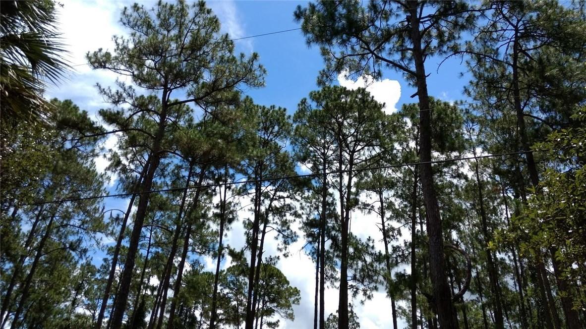 1206 Pine Ave., Lehigh Acres, FL 33972