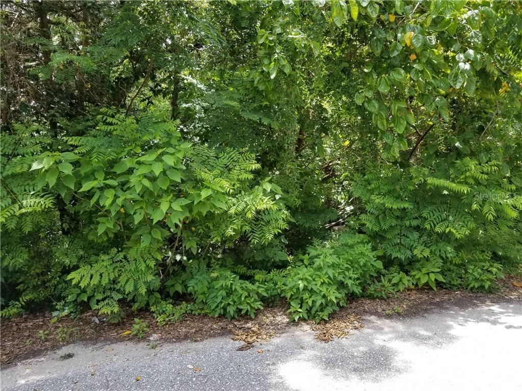 2211 Hialeah Ave., Leesburg, FL 34748