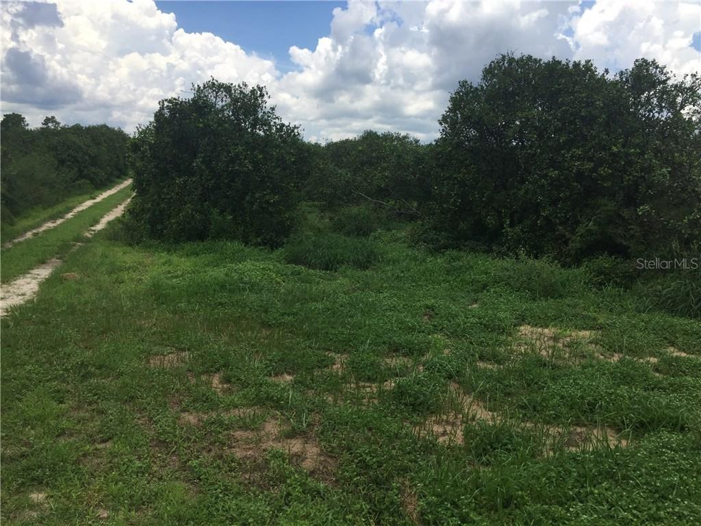 11082 Lane Park Rd., Tavares, FL 32778