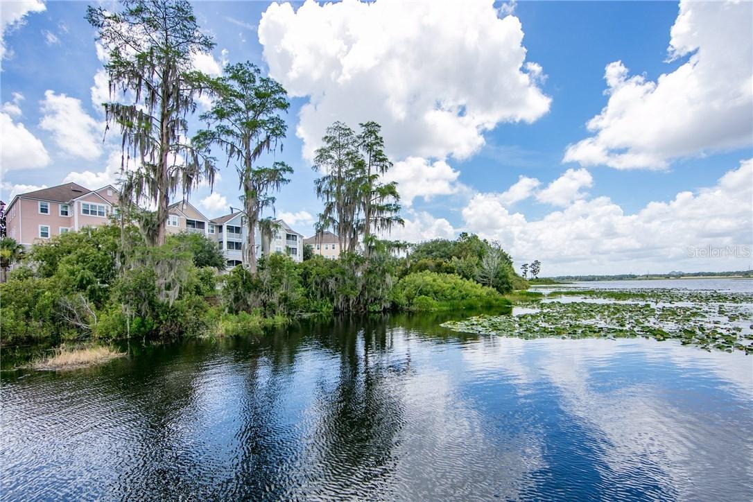 3428 Soho St. #202, Orlando, FL 32835