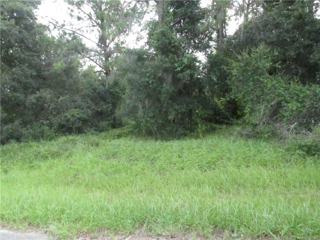1332 Hillsborough Dr., Poinciana, FL 34759