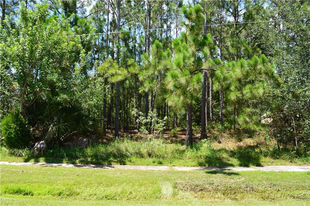 Shingle Creek Ct., Kissimmee, FL 34746