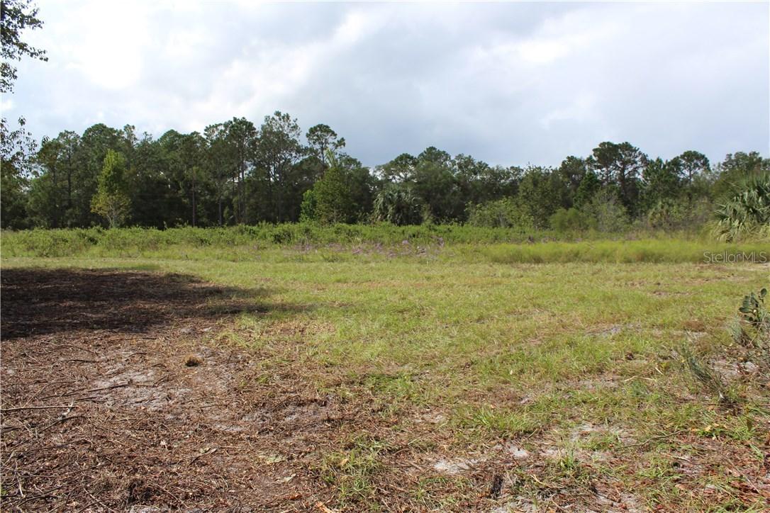 Pine Meadows Golfcourse Rd., Eustis, FL 32726