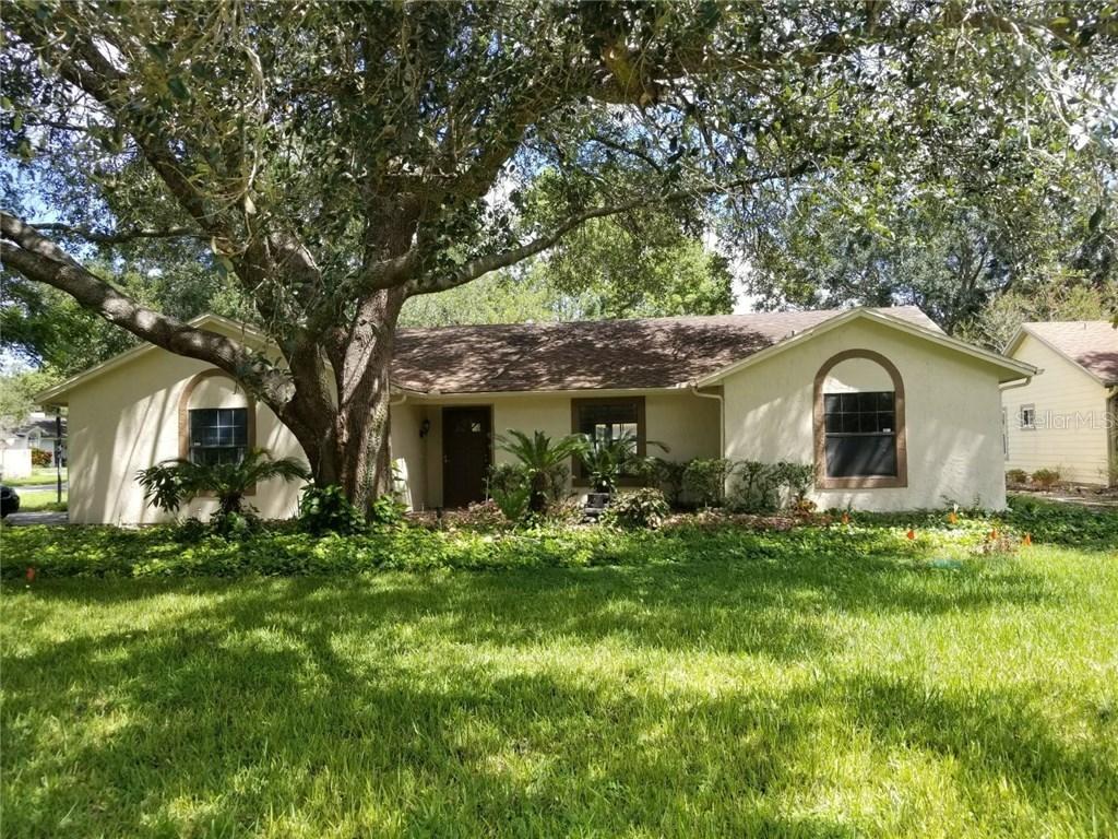 7065 Earlwood Ave., Mount Dora, FL 32757