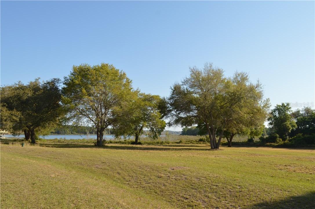 Royal Palm Dr., Groveland, FL 34736