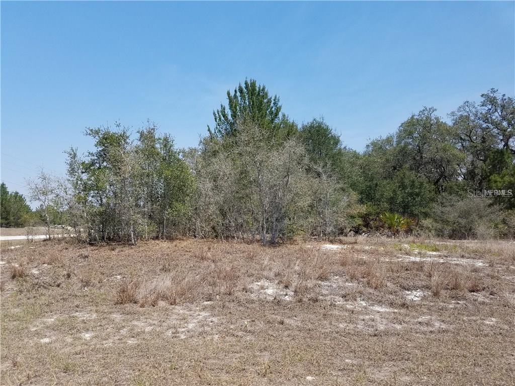 [Address Unavailable], Poinciana, FL 34759