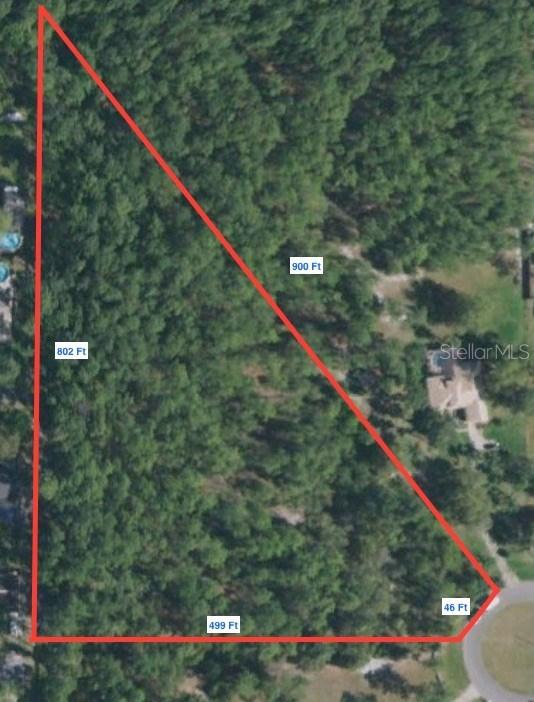 14501 Scotch Pine Ct., Orlando, FL 32832
