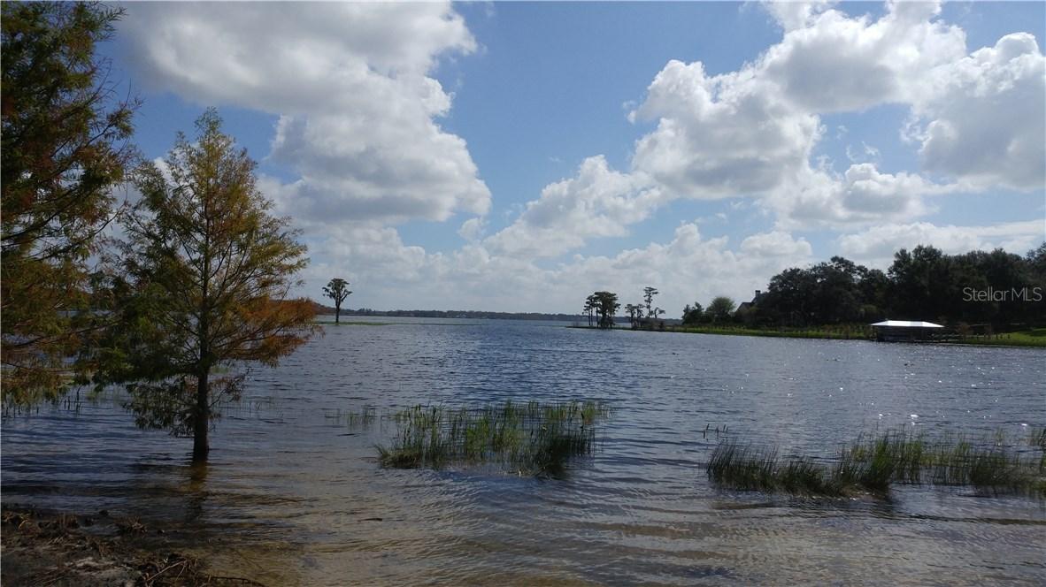 12624 Park Ave., Windermere, FL 34786