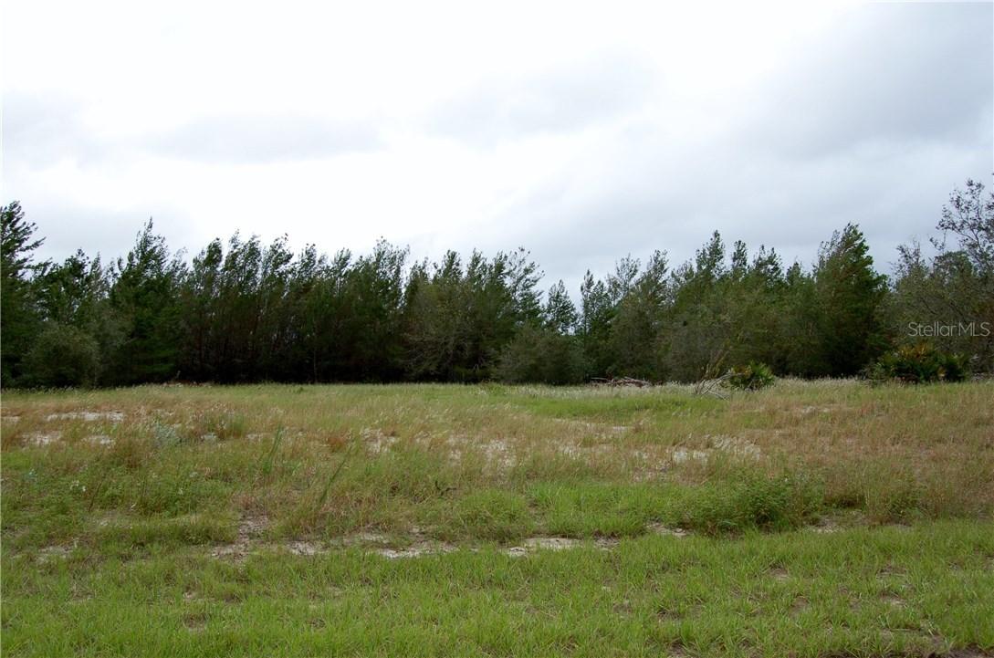 363 Aster Ct., Poinciana, FL 34759