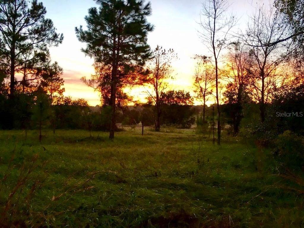 20400 Sugarloaf Mountain Rd., Clermont, FL 34711