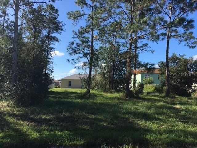 1104 Roan Ct., Kissimmee, FL 34759