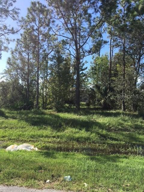 1106 Roan Ct., Kissimmee, FL 34759
