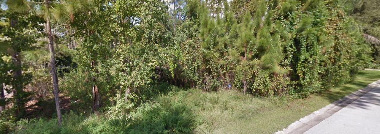 13014 Roberts Island Rd., Orlando, FL 32832