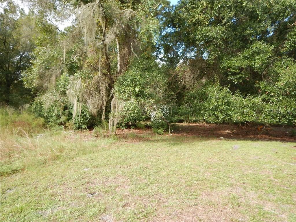 4641 Mitchell Rd., Land O Lakes, FL 34638