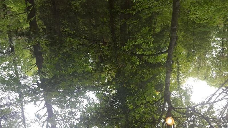 255 W 4th St., Chuluota, FL 32766