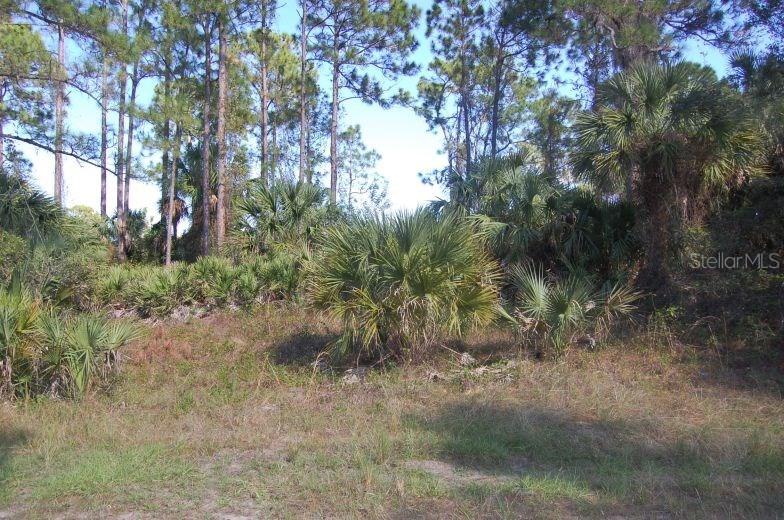 Clattleya Ave., North Port, FL 34288