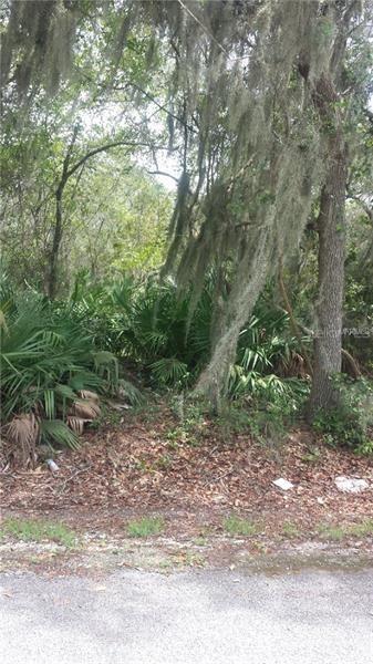 259 Toms Rd., DeBary, FL 32713