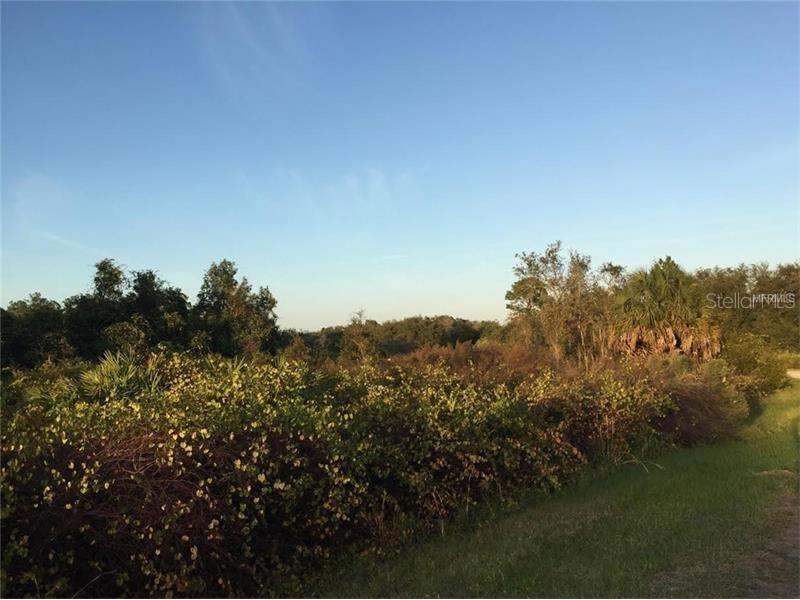 1213 Alafia Way, Poinciana, FL 34759
