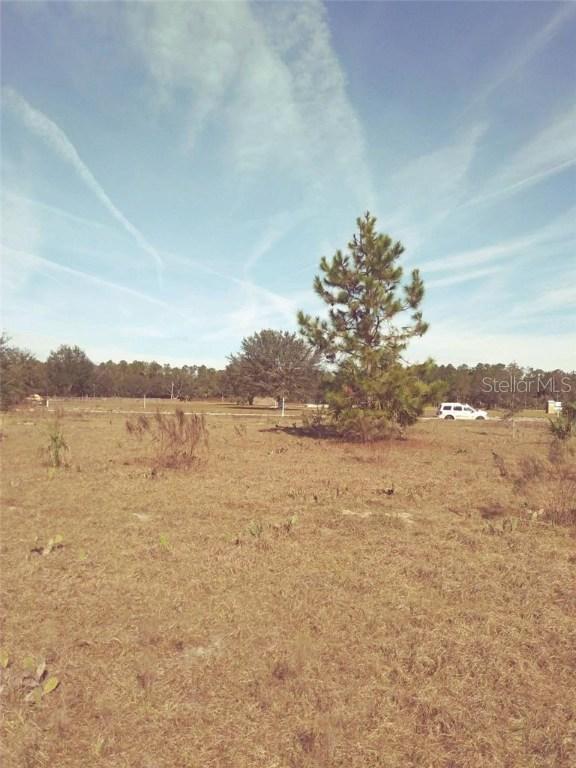 22180 Deer Park Ave., Eustis, FL 32736