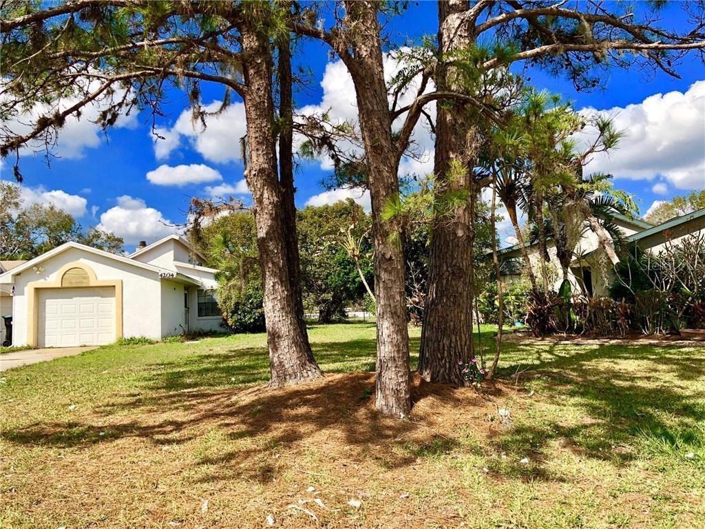 4204 Gulfstream Bay Ct., Orlando, FL 32822