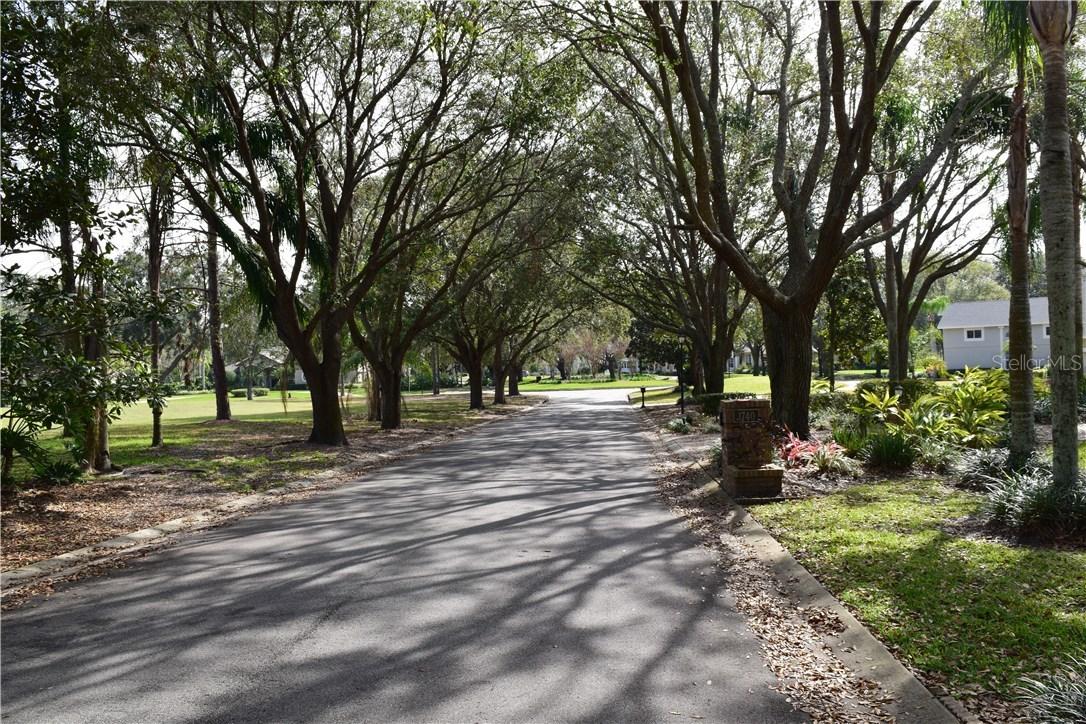 10365 Birch Tree Ln., Windermere, FL 34786