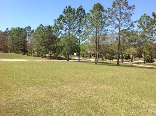 30100 Bretton Loop, Mount Dora, FL 32757