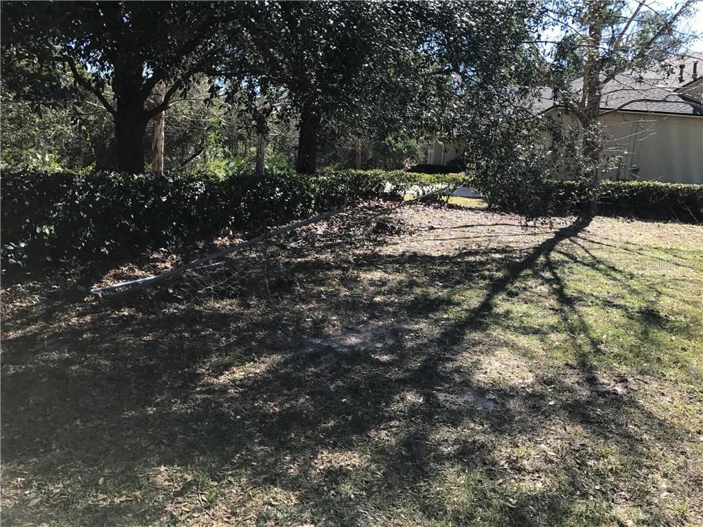 2988 Bayhead Run, Oviedo, FL 32765