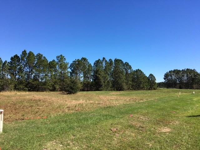 419 Long And Winding Rd., Groveland, FL 34737