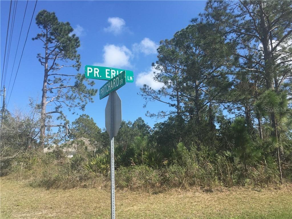54 Pritchard Dr., Palm Coast, FL 32164