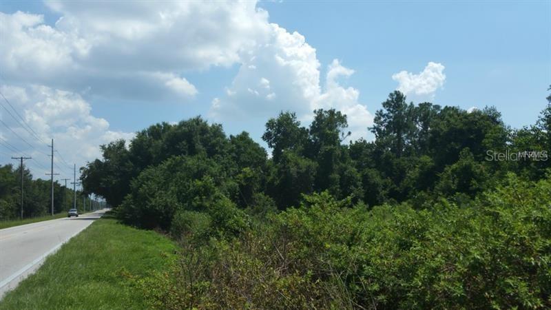 Buckeye Loop Rd., Winter Haven, FL 33881
