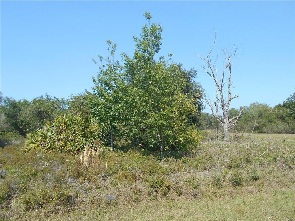 1521 Mediterranean Dr., Poinciana, FL 34759